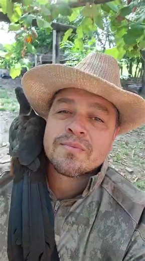 Videos de Robert Balbuena (@robert.balbuena88) con “sonido original - Robert Balbuena”