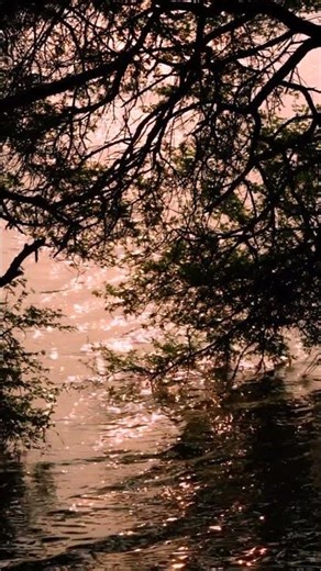 Ryoma's Rebellion 🌋