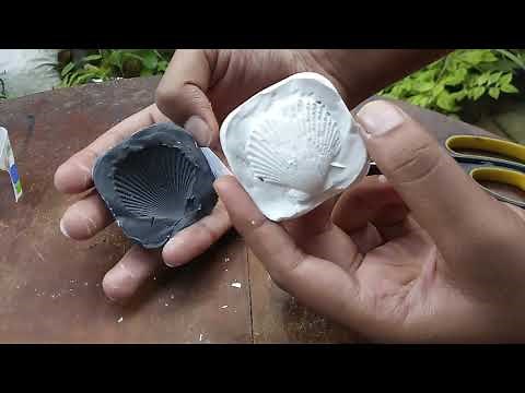 How to make a fossil with Plaster of Paris