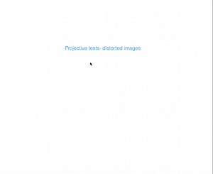 SOLVED: tests ask test-takers to respond to an ambiguous stimulus, for example, by describing it or telling a story about it.