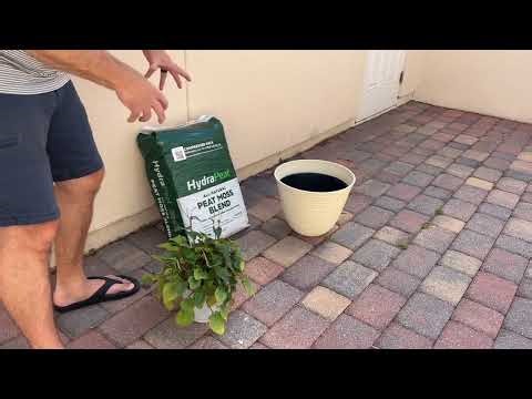 HydraPeat Peat Moss Blend review