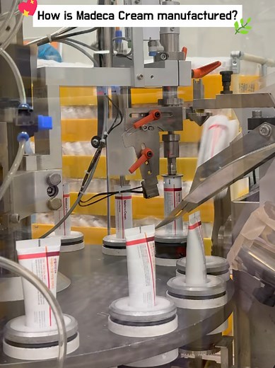 Inside Our Production: Cream Filling to Final Packaging