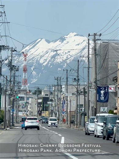 102K views · 2.3K reactions | 헜헸헶헺헮혀헵헼혂: 헛헶헿헼혀헮헸헶 헖헵헲헿헿혆 헕헹헼혀혀헼헺혀...