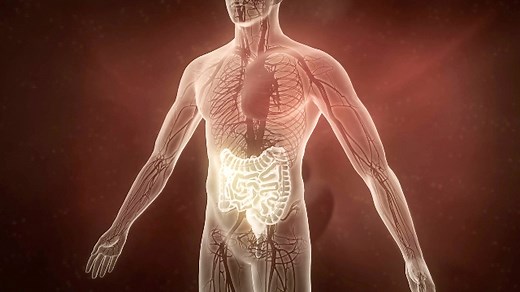 ＮＨＫスペシャル　腸内フローラ～解明！驚異の細菌パワー～｜番組｜NHKアーカイブス