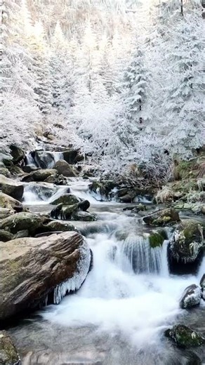 Mystical Snow Waterfall in Winter Forest | Relaxing Nature Ambience #nature