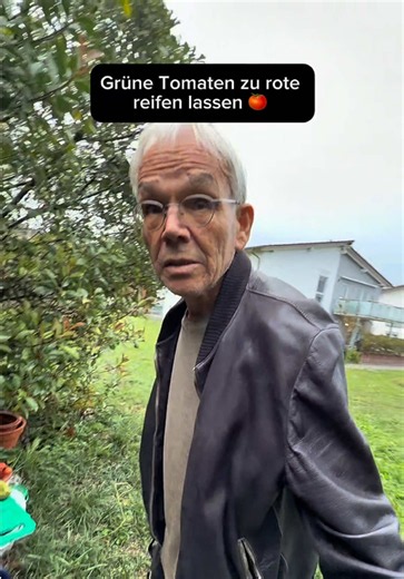 #tomaten #pflanzen #bio #garten #landwirtschaft
