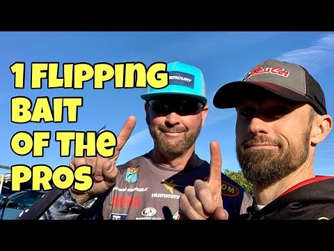 1 FLIPPING BAIT - Pro Picks!
