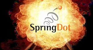 What We Offer | SpringDot – Energized Communication™