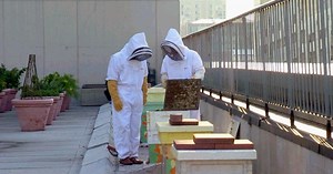 America's Heartland:1020 Season 10 Episode 01/28/2015