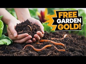 Vermicomposting: Nature's Recycling System for Your Garden