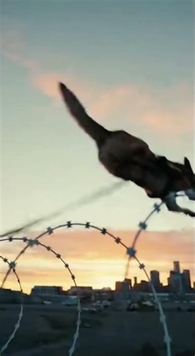 Cops chasing criminals with a police dog