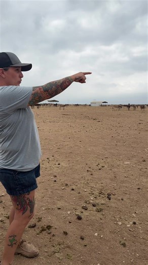 “Hold on… did I count that one already?” When you care for this many donkeys, head counts matter. Our team regularly counts every donkey in every pasture to ensure everyone is safe and accounted for. #donkeyrescue #familyguy #endlesscounting #donkeysoftiktok #peacefulvalleydonkeyrescue
