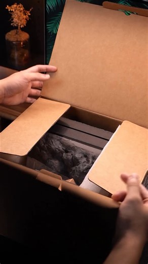 WWWAQUA | A quiet moment beneath the water. #asmr #aquascape #aquarium #aquaticlife #miniatureworld #naturevibes #aestheticvideo #calmingcontent #visuals | Instagram