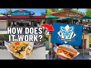 Easy Guide To Dollywood's Splash Country Water Park Dining Pass