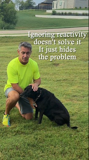 Start training your dog with the Best Dog Training App in the World!  | Dog Training & Tips | Facebook