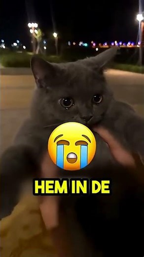 The pilot stopped flying... You'll never believe why! 😱✈️