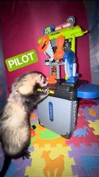 Test Marketing
