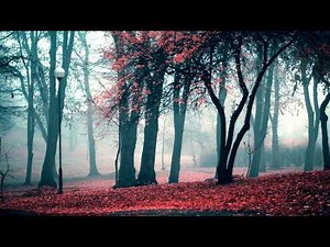 Calum Scott - Dancing On My Own (slowed+Reverb)