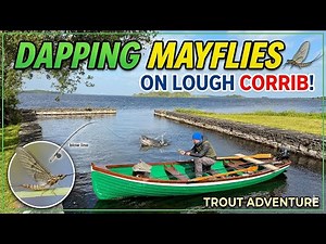 Dapping Mayflies for Wild Trout on Lough Corrib |Traditional Irish Trout Fishing