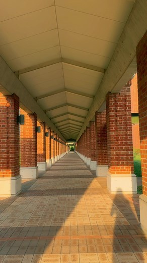 #japan#fyp #university