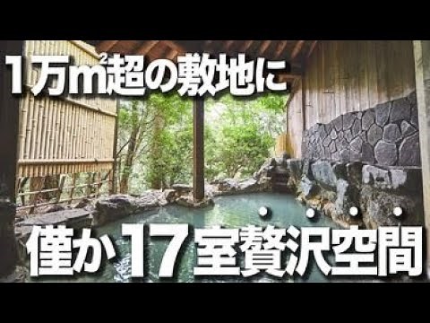 [Hakone Hot Springs] Reasonable and luxurious space "Forest Hakone"