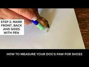How to measure your dogs paw for dog shoes