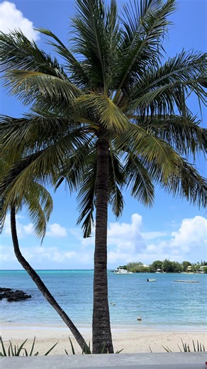 Discover the Beauty of Mauritius: Island Views and Travel Tips