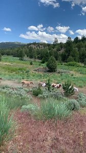 121K views · 14K reactions | Nirvana - (noun) any place of complete...