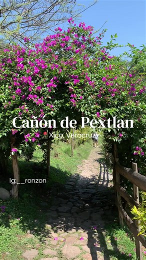 📍Cañón de Pextlan, Xico, Veracruz, México ¿Ya conoces el cañón de Pextlan? Se encuentra en el pueblo mágico de Xico, para llegar a el tienes que hacer un recorrido por hermosos senderos llenos de vegetación, si deseas visitarlo te recomiendo llevar ropa y zapatos comodos que se puedan mojar, el agua es muy fresca y cristalina si decides visitarlo cuida el entorno, llévate tu basura y ayuda a preservar el lugar.#xico #veracruz #senderismo #pueblomagico #viral
