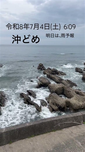 令和8年7月4日(土) 6:09 曇り、肌寒い。 今日は沖どめ、明日日曜日は、また朝から雨予報。 昨日、紫蘇ジュースが美味しく出来たので、皆に配りました。