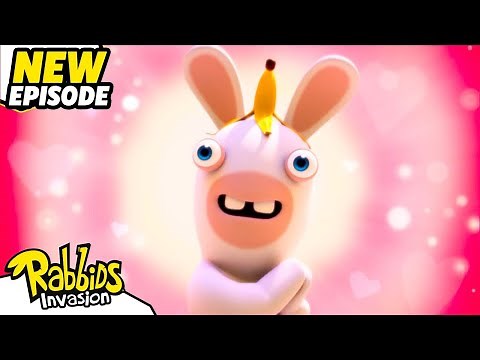 Teddy-Rabbid (S04E26) | RABBIDS INVASION | New episodes | Cartoon for Kids