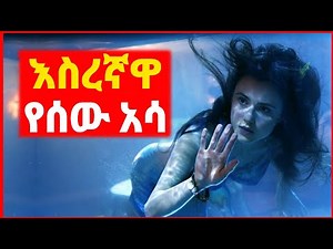 🔴 በአስማተኞች የታሰረችው የሰው አሳ | Kokeb film | Achir film | mert film - ምርጥ ፊልም | sera film