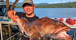 Ike-Jime & Shinkei-Jime: Delay Rigor Mortis and Dispatch Fish Humanely - Island Fisherman Magazine