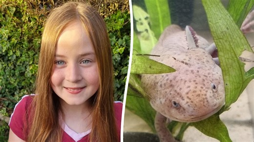 Girl, 10, finds first ever super endangered Mexican salamander in Welsh river