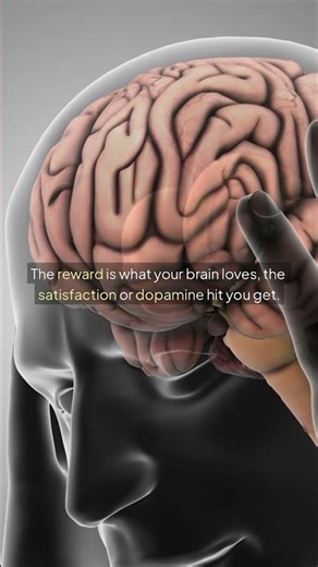 The Habit Loop Explained – How to Rewire Your Brain