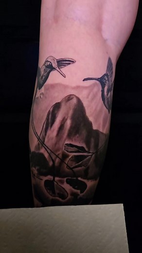 Voici enfin le reveal du couple de colibri du Pérou complètement guérit. Ça été tellement le fun de pouvoir réalisé ce projet. 🥰 merci de ta confiance Caroline Barré 😁 | GrandTom Tattoo Studio