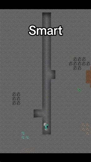 Minecraft meme is funny #minecraft #shorts