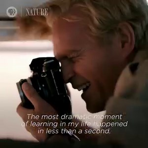 401 reactions · 198 shares | Discover how "The Serengeti Rules" could be the key to restoring our world. | Nature | PBS | Facebook