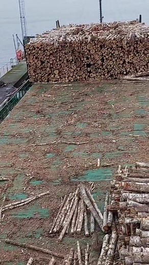 Sennebogen 835 | SEA LOVER