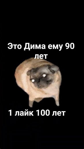 11 апреля 2026 г.