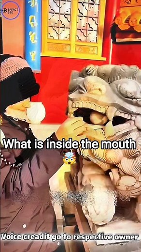 What Is Inside The Mouth Of Lion 🦁.