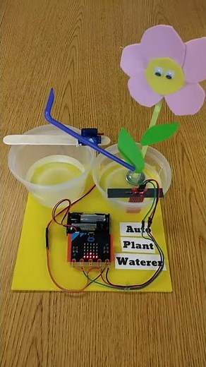 Micro:bit activity - automatic Plant Waterer