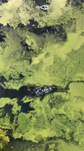 A favorite fluorocarbon mainline for heavy cover. | Fish Seaguar