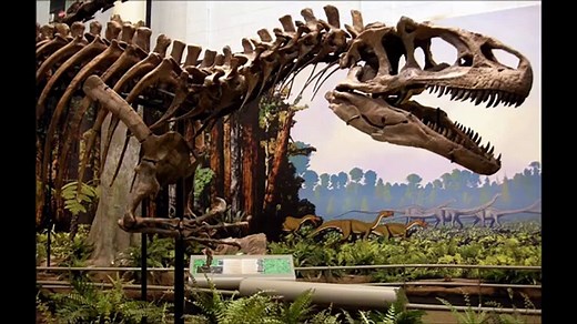 Allosaurus Vs Mapusaurus