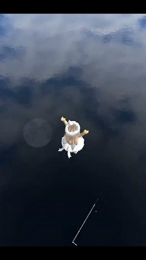 Difficulty Fling Roblox