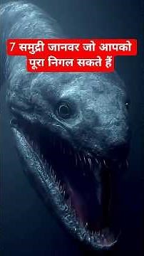 7 Ocean Predators That Could Swallow You Whole😱