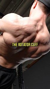 The Hidden Power Of Face Pulls. | FitnessFAQs