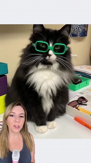 Truffles the cat wears glasses and even has her own special pair for colorblindness! Truffles is a cat ambassador for vision and helps kids feel comfortable wearing glasses. She also does important work raising awareness about different eye conditions. 🐈‍⬛ Find Truffles on Facebook by searching for "Truffles the Kitty." Or, find her on Instagram and TikTok: truffles_the_kitty In October, you can also patch a pumpkin for Truffles’s #pumpkinpatchproject raising awareness about amblyopia - see her