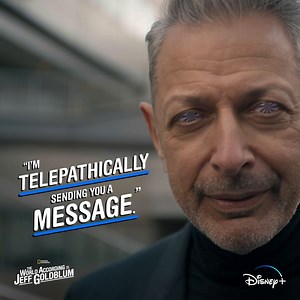 Jeff Goldblum wants to send you a message, and that message is this: Stream new episodes of #TheWorldAccordingToJeffGoldblum on January 19, only on Disney | National Geographic TV