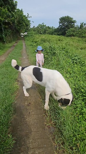 17K views · 400 reactions | "The bond" | Supero Dog Farm | Facebook